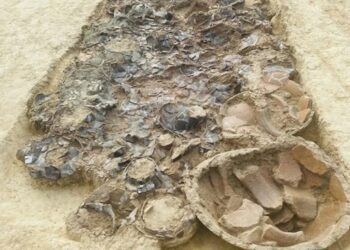 В Італії виявили князівську гробницю VII століття до нашої ери