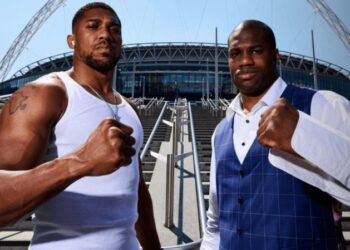 Карл Фроч назвав фаворита бою Дюбуа – Джошуа