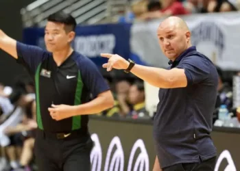 Віталій Степановський: “Новицький — цікавий гравець, який заслуговує на додаткову увагу”