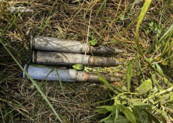 На Сумщині піротехніки ДСНС виявили та знищили 5 вибухонебезпечних предметів