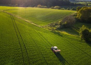 В Україні створили першого держоператора сільгоспземель