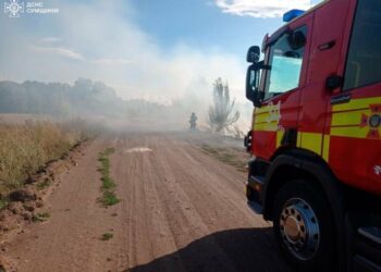 Щодня рятувальники гасять пожежі в екосистемах Сумщини