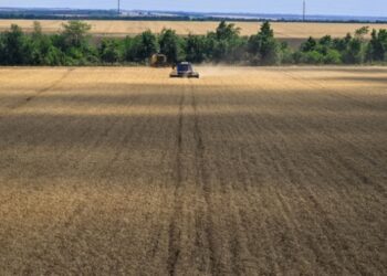 Земельні аукціони принесли організаторам понад мільярд гривень