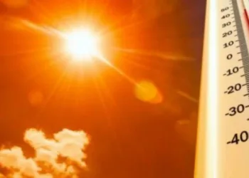 Американські вчені назвали цьогорічний липень найспекотнішим за останні 175 років