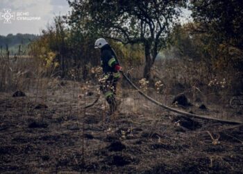 Рятувальники упродовж доби 23 рази ліквідовували загоряння в природних екосистемах Сумщини