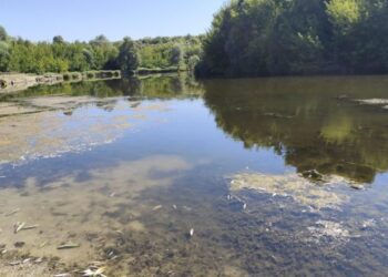 Голова Конотопської РВА Павло Дудко розповів про стан забруднення річки Сейм