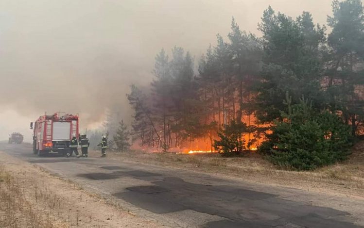 Лісівники Кролевеччини попереджають про пожежну небезпеку