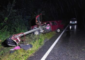 На Кролевеччині в ДТП загинула 5-річна дитина