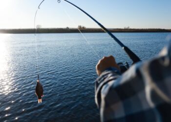 На річках Сумщини закінчилася нерестова заборона