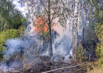 На Шосткинщині дитячі пустощі з вогнем призвели до пожежі (+відео)