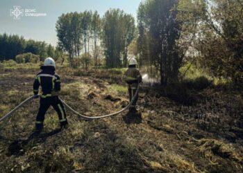 На Сумщині вогнеборці 15 разів ліквідовували загоряння сухої рослинності