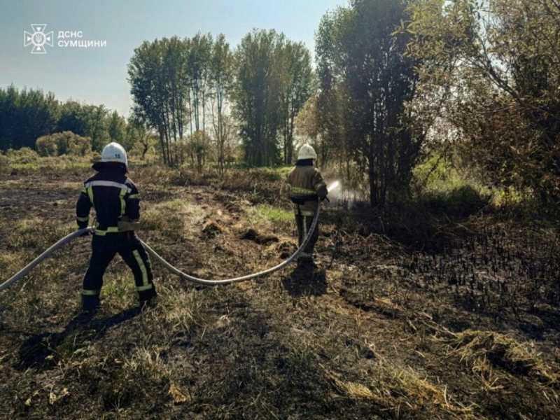 На Сумщині вогнеборці 15 разів ліквідовували загоряння сухої рослинності