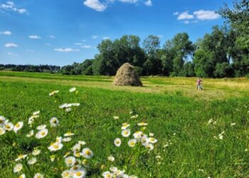 На Сумщині знову прогнозують спеку понад 30 градусів