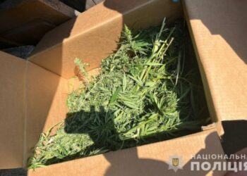 Правоохоронці Конотопщини вилучили у мешканців району десятки нарковмісних пігулок та більше 300 грамів канабісу