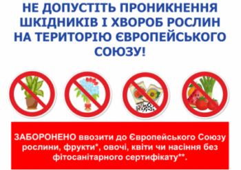 ПРО ДОТРИМАННЯ ВИМОГ ЄВРОКОМІСІЇ ЩОДО ВВЕЗЕННЯ РОСЛИН ТА РОСЛИННИХ ПРОДУКТІВ