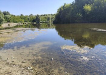Проведено комісійний огляд місць забруднення річки Сейм