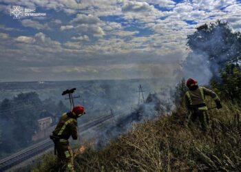 Рятувальники упродовж доби дев’ять разів ліквідовували загоряння на відкритих територіях, зокрема і на Шосткинщині (+відео)