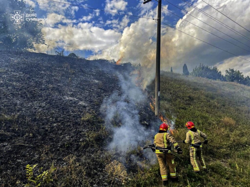 Рятувальники упродовж доби дев’ять разів ліквідовували загоряння на відкритих територіях, зокрема і на Шосткинщині (+відео)