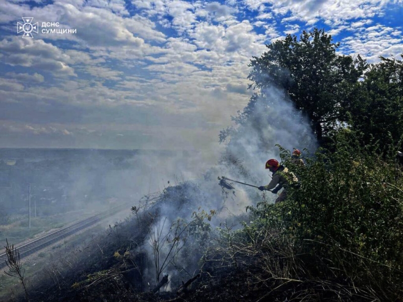 Рятувальники упродовж доби дев’ять разів ліквідовували загоряння на відкритих територіях, зокрема і на Шосткинщині (+відео)