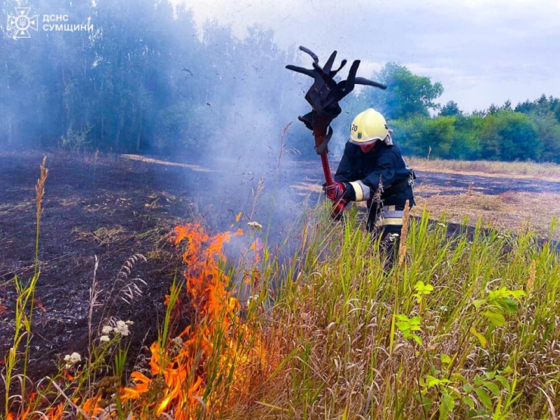 Рятувальники упродовж доби неодноразово ліквідовували загоряння на відкритих територіях 