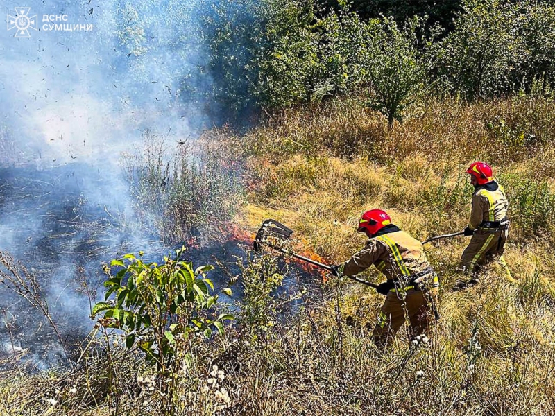 Рятувальники упродовж доби неодноразово ліквідовували загоряння на відкритих територіях 