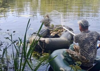 У Любитовому на Кролевеччині виловили близько 500 кг загиблої риби з Сейму