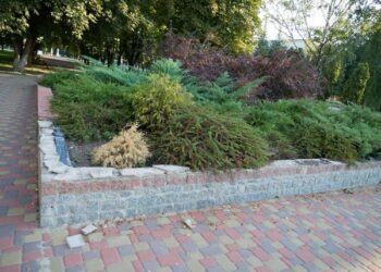 У Ромнах просто перед міськрадою покрали з клумби плитку + ФОТО