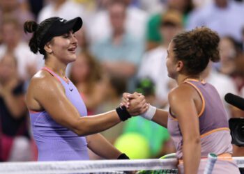 ВІДЕО. Андреєску в матчі з Паоліні виконала «чітерський» удар