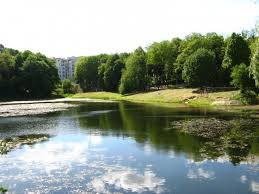 Вода в озері Кандибине  – безпечна для купання