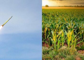 На Конотопщині ворожа ракета влучила в поле