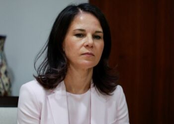 Бербок занепокоєна підтримкою України в партії Шольца СДПН у Бранденбурзі