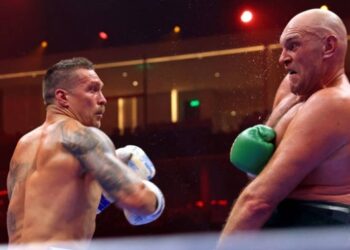 Девід Хей назвав помилки Ф’юрі в бою з Усиком