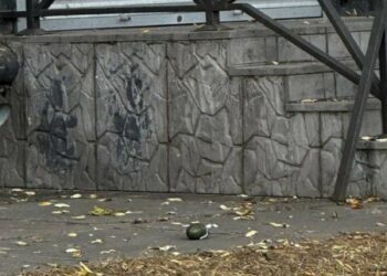 У Сумах на проспекті Шевченка знайшли гранату