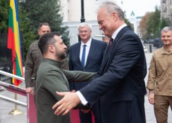 Литва надасть Україні 12 тонн боєприпасів до кінця року й обдумує купівлю ППО малої дальності