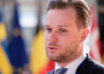 У Київ приїхав глава МЗС Литви Ландсбергіс