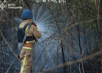 Ворожий обстріл спричинив масштабну пожежу в садовому кооперативі Сумської громади