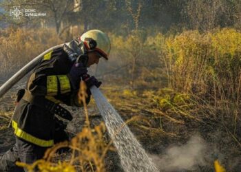 Більше 30 фахівців ДСНС та 8 одиниць техніки залучалися протягом минулої доби до гасіння пожеж у природних екосистемах Сумщини