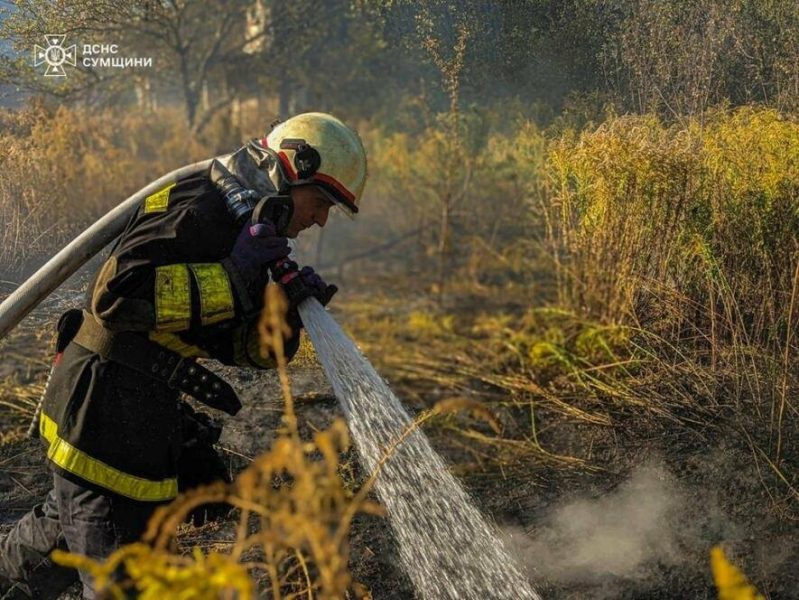 Більше 30 фахівців ДСНС та 8 одиниць техніки залучалися протягом минулої доби до гасіння пожеж у природних екосистемах Сумщини