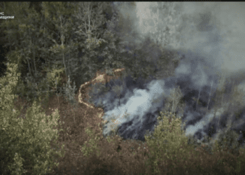 У Охтирському районі рятувальники ліквідувати масштабну пожежу у лісі, яку спричинив ворожий удар