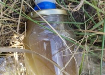 Росіяни з дронів скидають бляшанки із запальною сумішшю на ліси Сумщини