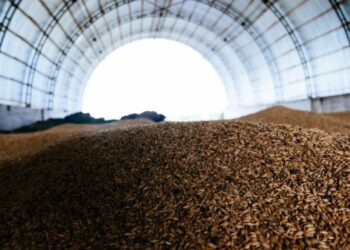 Україна втратила понад 30 млрд гривень через викрадення та знищення росіянами зерна — Офіс генпрокурора