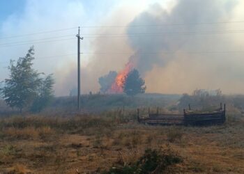 Суха погода та обстріли: в Україні триває ліквідація 20 лісових пожеж