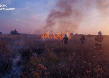 Сумська область: за минулу добу вогнеборці 14 разів ліквідовували загоряння сухої рослинності