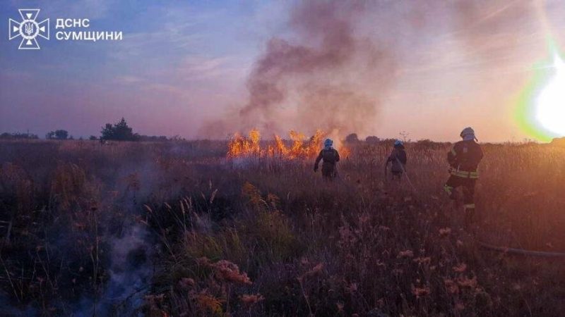 Сумська область: за минулу добу вогнеборці 14 разів ліквідовували загоряння сухої рослинності