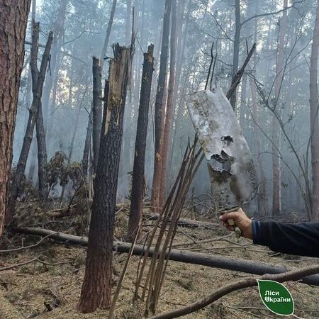 Через бойові дії на півночі Сумщини за останні два тижні виникло більше 30 лісових пожеж