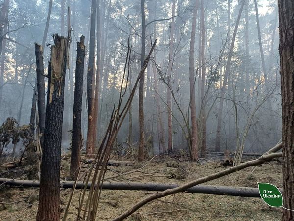 Через бойові дії на півночі Сумщини за останні два тижні виникло більше 30 лісових пожеж