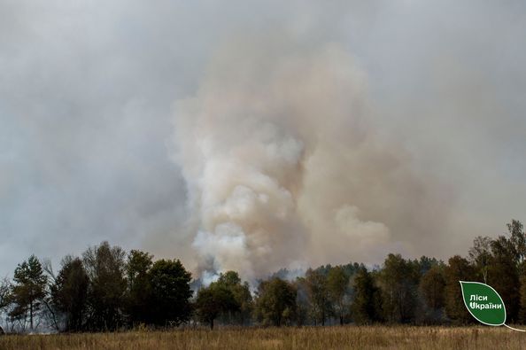 Через бойові дії на півночі Сумщини за останні два тижні виникло більше 30 лісових пожеж