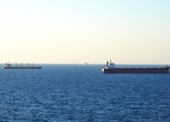 Зеленський розповів про роботу морського коридору