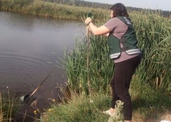 Держекоінспекція обстежила озеро Ігнатенкове в Охтирці