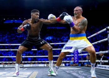 Девід Хей оцінив шанси Джошуа в потенційному бою з Усиком